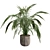 Exotic Palm Tree Pot Collection 3D model small image 3