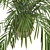 Exotic Palm Tree Pot Collection 3D model small image 5