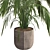 Exotic Palm Tree Pot Collection 3D model small image 6