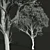 Dual Summer Tree 3D Models 3D model small image 6