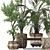 Elegant Parlor Palm & Pot 3D model small image 2