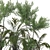 Elegant Parlor Palm & Pot 3D model small image 4