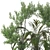 Elegant Parlor Palm & Pot 3D model small image 5