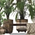 Elegant Parlor Palm & Pot 3D model small image 6