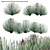 Versatile 3D Agave Plant Models 3D model small image 1