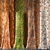 Tree Bark Trunk Textures Bundle 3D model small image 1