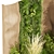 Volume Garden Pampas Grass 3D 3D model small image 3
