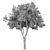 Crimson Eucalyptus Tree Collection 3D model small image 5