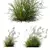 Ornamental Grass 3D Models Kit 3D model small image 1