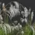 Ornamental Grass 3D Models Kit 3D model small image 3