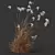 Ornamental Miscanthus Grass 3D Models 3D model small image 2