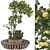 Urban Garden Apple Tree Bench 3D model small image 1