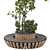 Urban Garden Apple Tree Bench 3D model small image 3