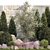 Alpine Garden Collection Kit 3D model small image 2