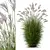 Elegant Miscanthus Grass 3D Model 3D model small image 1