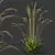 Elegant Moor Grass 3D Models 3D model small image 2