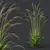 Elegant Moor Grass 3D Models 3D model small image 3