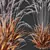 Elegant Moor Grass 3D Models 3D model small image 4