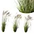 Elegant Moor Grass Decor Element 3D model small image 1