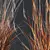Elegant Moor Grass Decor Element 3D model small image 4