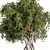 Sourwood Tree Set 167 3D model small image 2