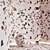 Seamless Terrazzo Marble Texture Pack 3D model small image 5