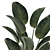 Tropical Exotic Plant Décor. 3D model small image 4