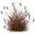 Ornamental Miscanthus Grass HQ Models 3D model small image 3