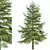 Geometry Pine Tree Sculpture 3D model small image 2