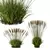 Elegant Molinia Caerulea Grass Model 3D model small image 1