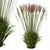 Elegant Molinia Caerulea Grass Model 3D model small image 2