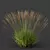 Elegant Molinia Caerulea Grass Model 3D model small image 3