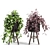 Translated Description: "A beautiful and diverse selection of indoor plants, perfect for creating a green oasis in your home."

Diverse Indoor Plant Collection 3D model small image 4