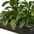 Tropical Jungle Indoor Plant Set 3D model small image 3