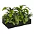 Tropical Jungle Indoor Plant Set 3D model small image 4