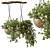Urban Oasis Hanging Plant 527 3D model small image 1