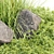 Ultimate Outdoor Plants Collection Vol.205 3D model small image 2