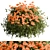 Floral Creeper Bush Set 114 3D model small image 1