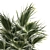 Tropical Palm Plant in Concrete Vase 3D model small image 3