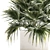 Tropical Palm Plant in Concrete Vase 3D model small image 4