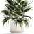 Tropical Palm Plant in Concrete Vase 3D model small image 6