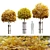 Wood Guarded Young Tree Trio 3D model small image 1