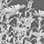 Versatile 3D Centaurea Plant Models 3D model small image 4