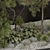 Cozy Garden Tree Set 3D model small image 2