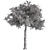 Sourwood Tree Set 177 3D model small image 3