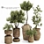 Handcrafted Bonsai Bush Pottery 133 3D model small image 1