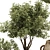 Handcrafted Bonsai Bush Pottery 133 3D model small image 5