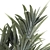 Exotic Tropical Palm Decor 3D model small image 6