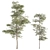 Tree Set 157: Sapling Collection 3D model small image 1