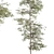 Tree Set 157: Sapling Collection 3D model small image 3